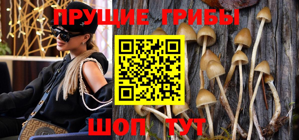 Галлюциногенные грибы мицелий  Вход с VPN  Городец  Галлюциногенные грибы GOLDEN TEACHER 