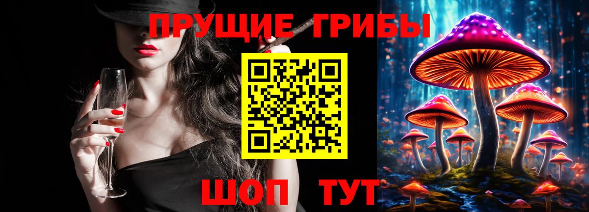 Псилоцибиновые грибы Psilocybine cubensis Городец